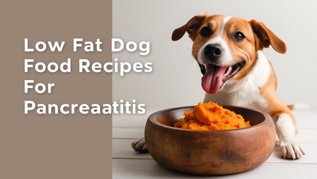 Low Fat Dog Food Recipes for Pancreatitis