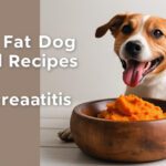 Low Fat Dog Food Recipes for Pancreatitis